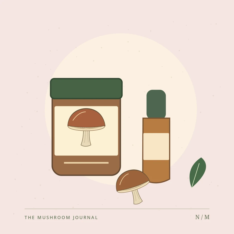 Botanical illustration for Ingredients explained