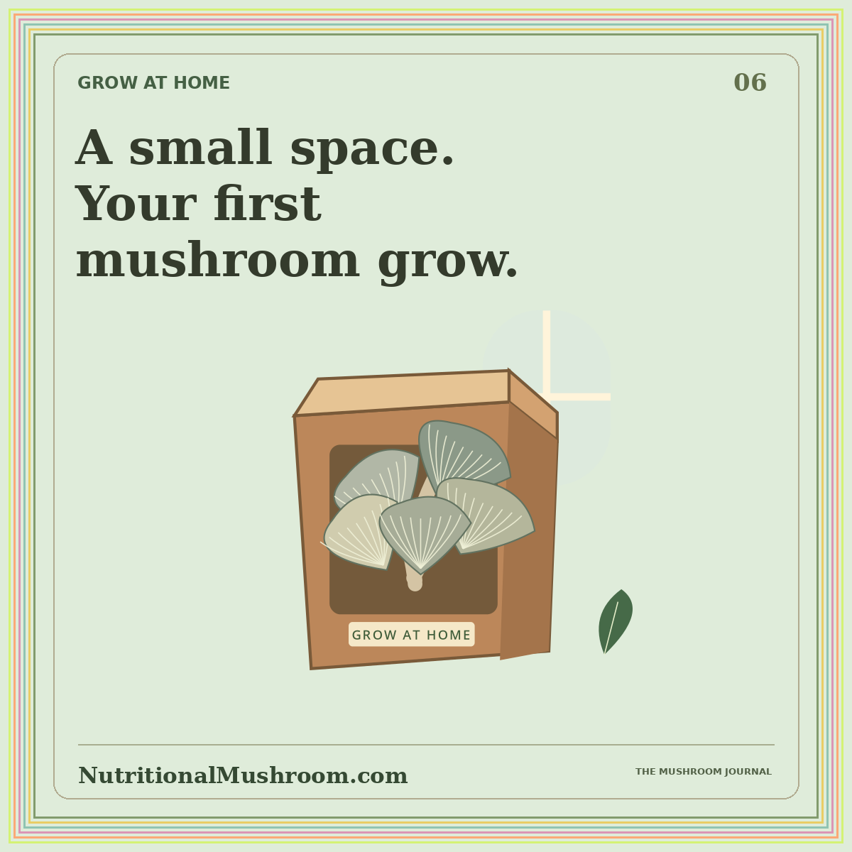 How to Grow Mushrooms at Home: A Beginner’s Guide — original illustrated mushroom journal card