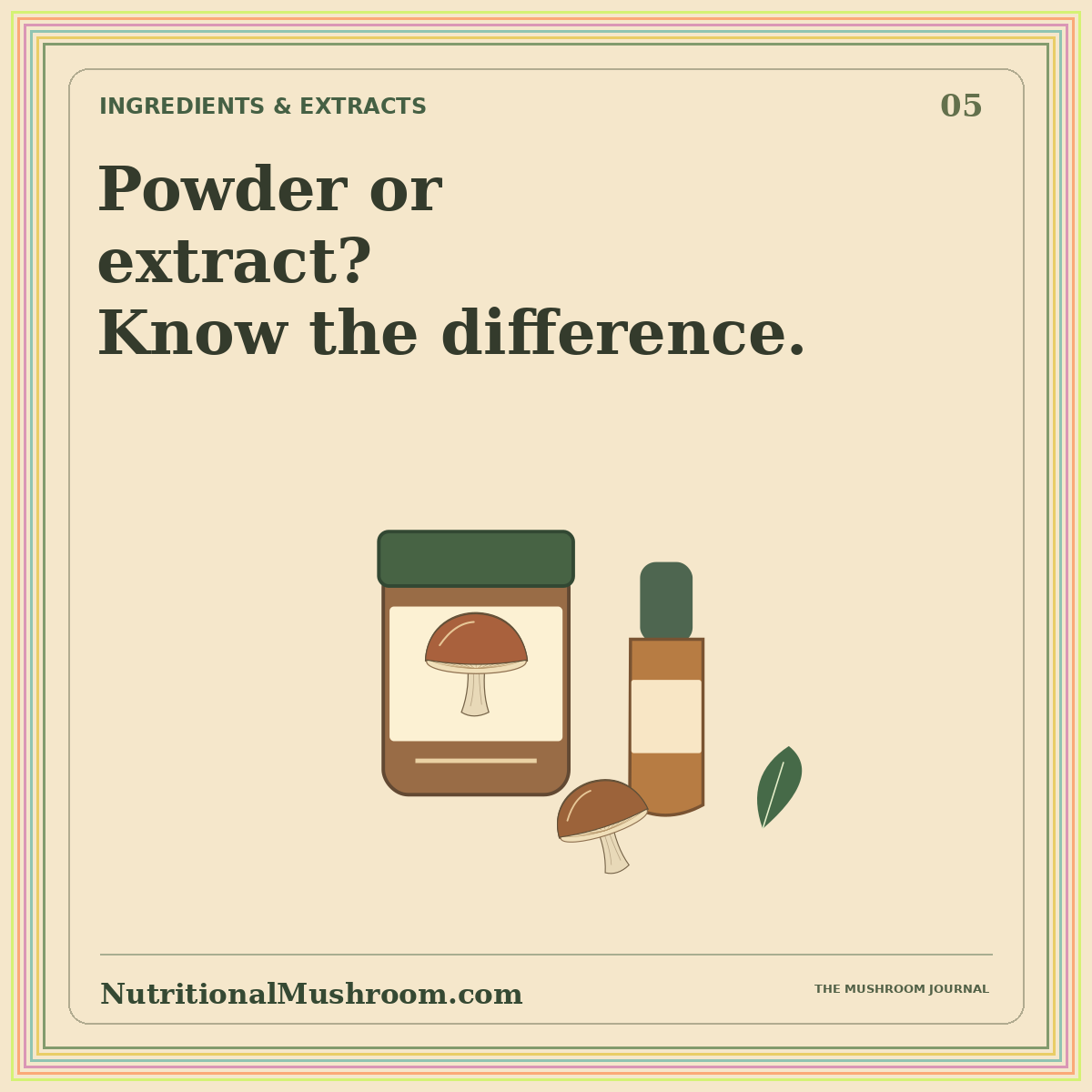 Mushroom Powder vs. Extract: Know the Difference — original illustrated mushroom journal card