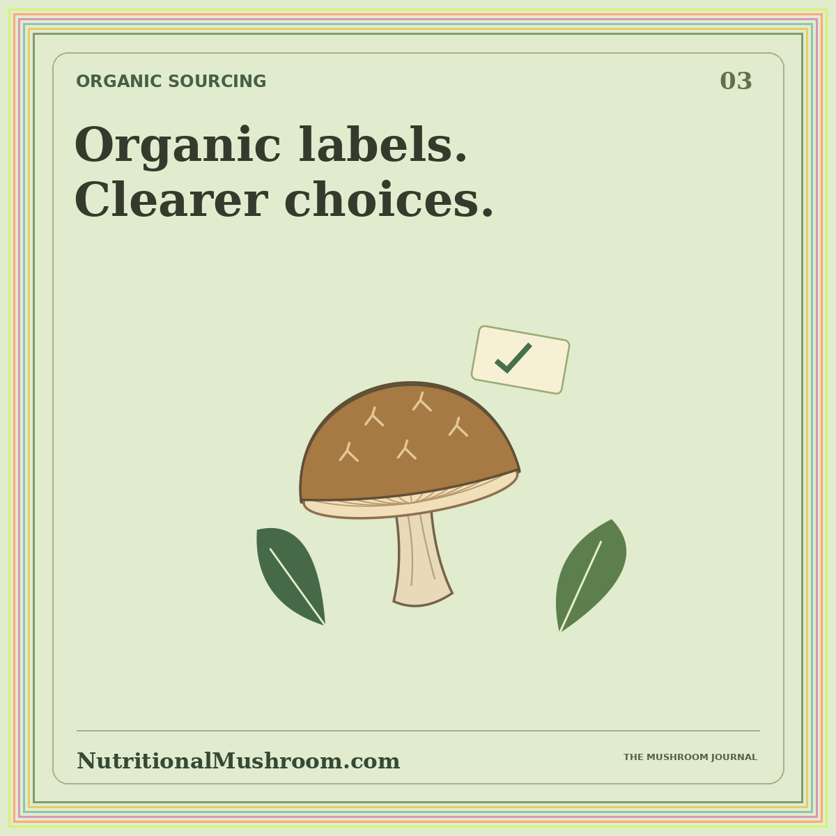 Organic Mushroom Labels: What the Words Really Mean — original illustrated mushroom journal card