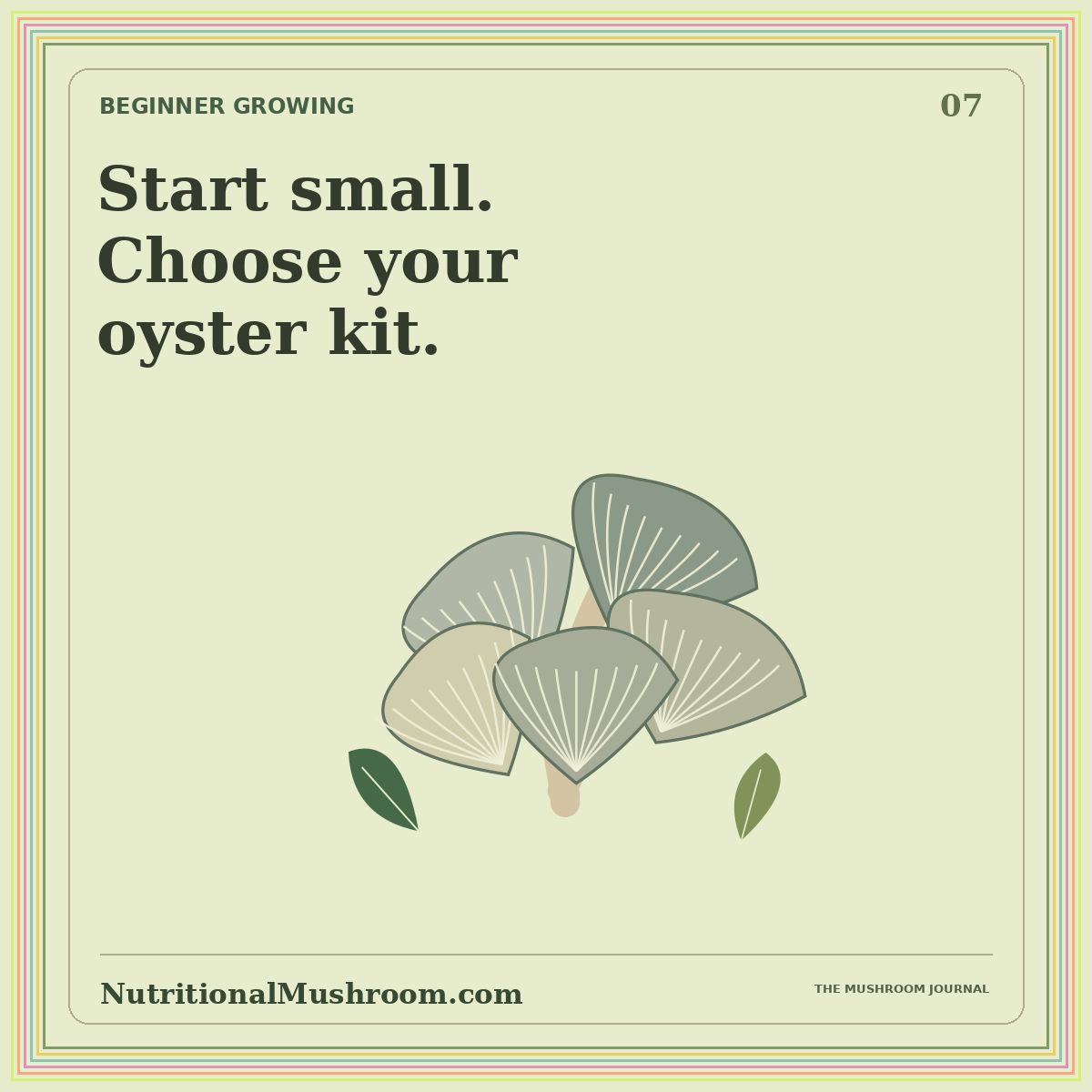 Choosing Your First Oyster Mushroom Growing Kit — original illustrated mushroom journal card