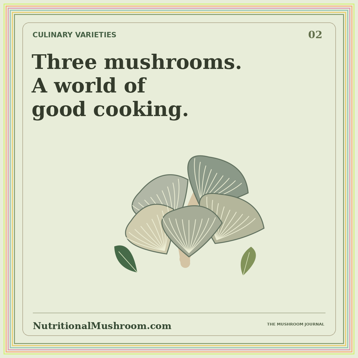 Oyster, Shiitake & Lion’s Mane: A Culinary Guide — original illustrated mushroom journal card