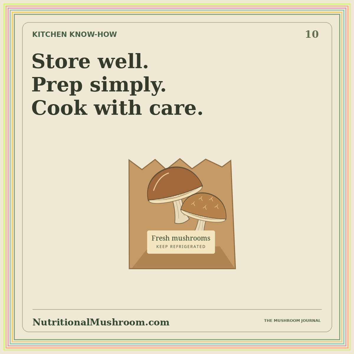 How to Store, Clean & Cook Fresh Mushrooms — original illustrated mushroom journal card